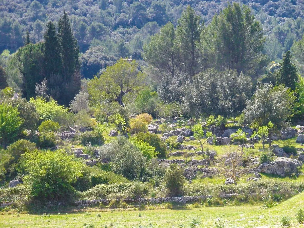Kır Evi Can Company Campanet