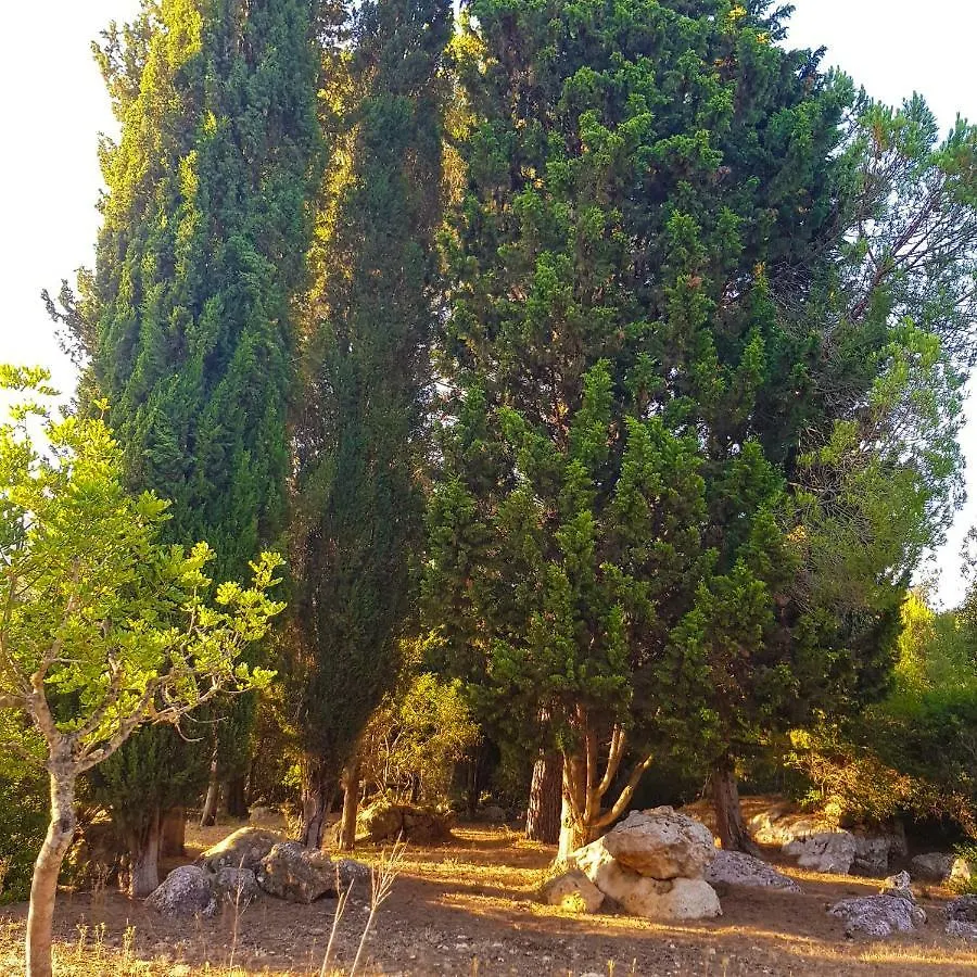 Can Company Campanet Kır Evi