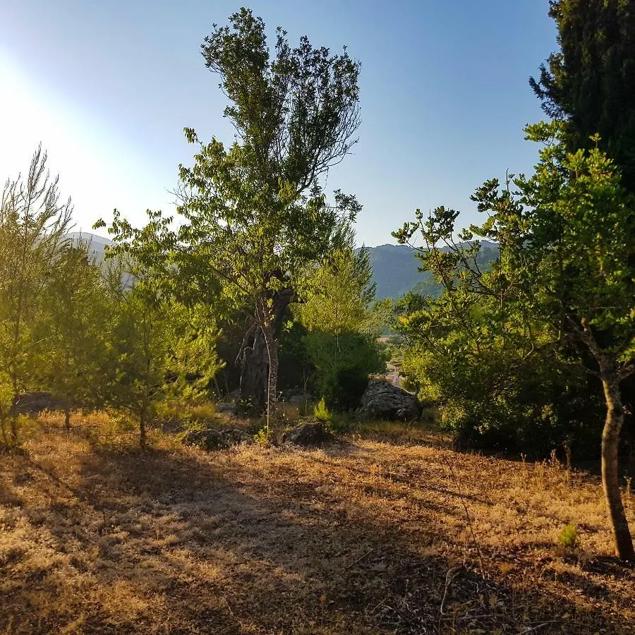Kır Evi Can Company Campanet